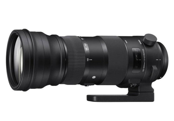 フィルムカメラ SIGMA 150-600mm sports Sigma 150-600mm f/5-6.3 DG OS HSM Sport – DigitalRev Store